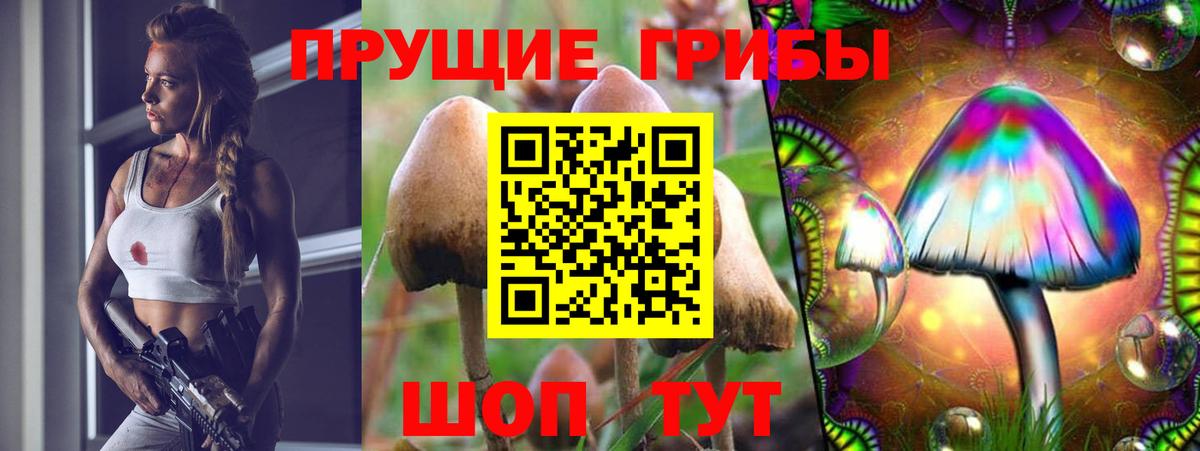 Псилоцибиновые грибы MAGIC MUSHROOMS Десногорск